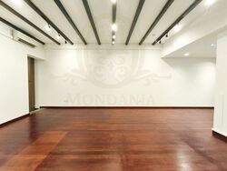 Tanjong Pagar Conservation Area (D2), Shop House #633322221